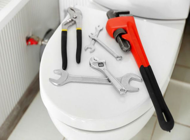 Những loại bồn cầu được dùng phổ biến nhất hiện nay