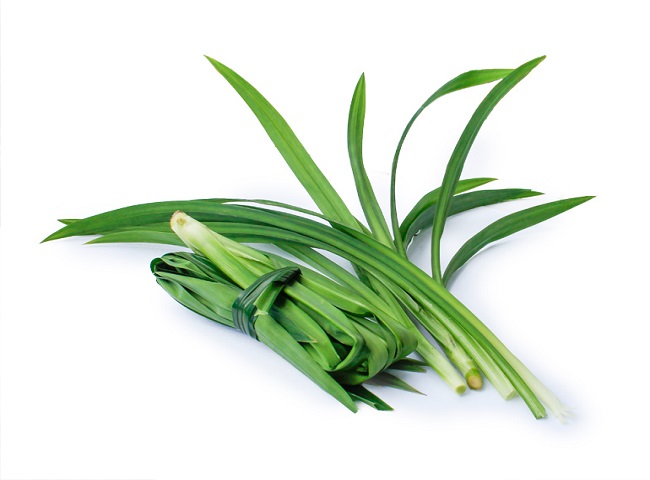 Ca sĩ Phương Anh Bolero